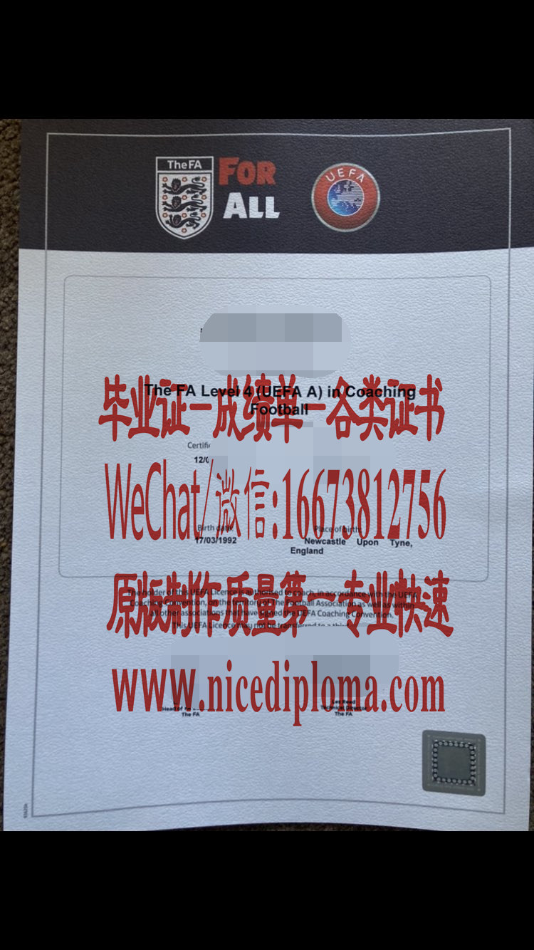 原版仿制足球等级证书