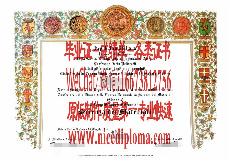 都灵大学毕业证原版仿制